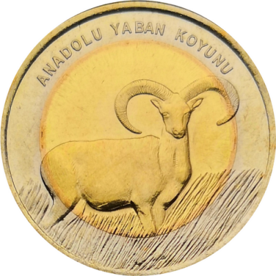 Монета Турции 1 лира 2015 Муфлон